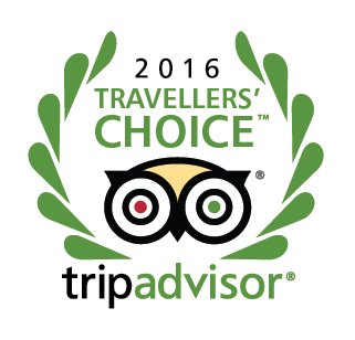 Яхонты Таруса стал одним из лауреатов конкурса TripAdvisor "Travellers’ Choice™" 2016 года среди отелей в категории "Семейные отели", заняв шестое место из 10.