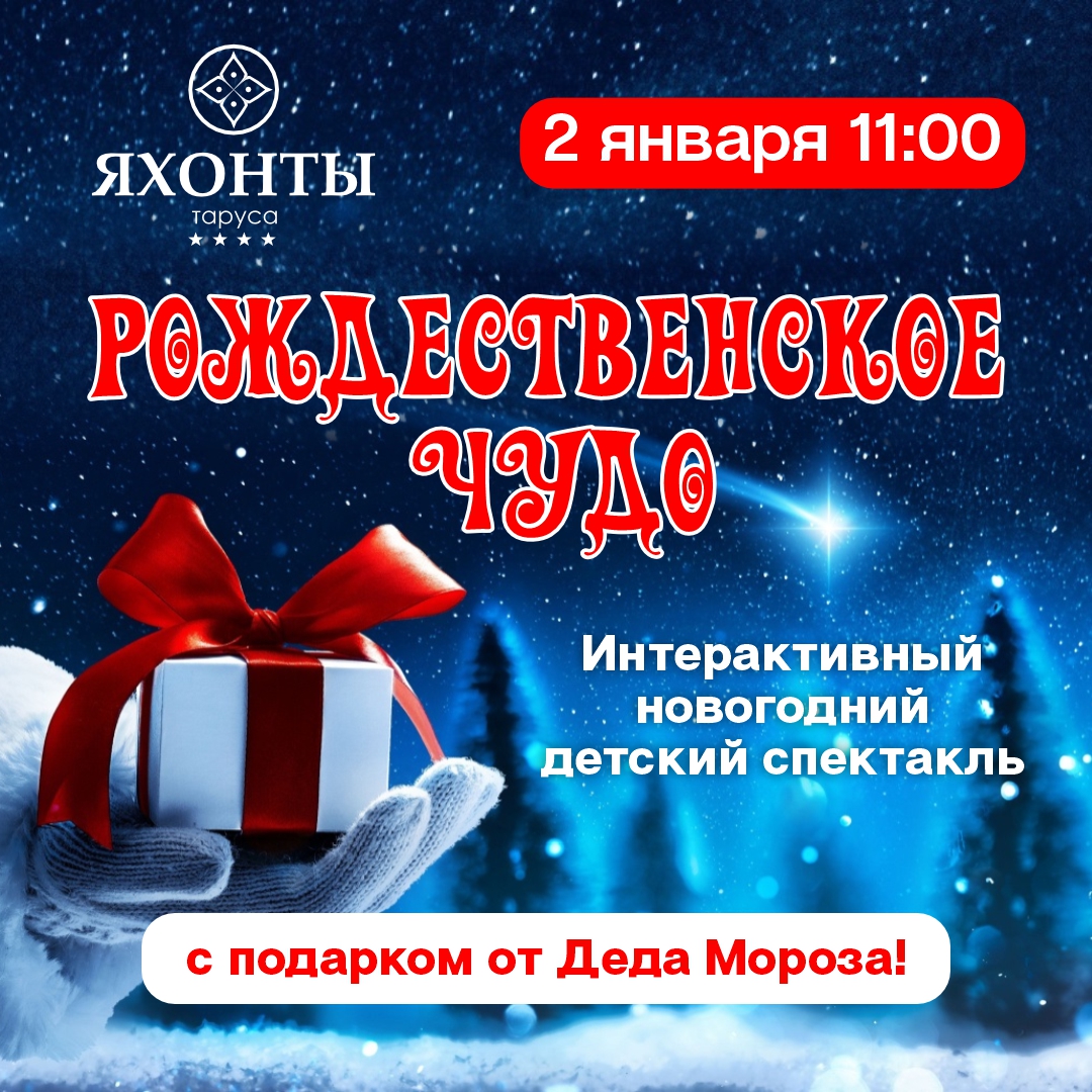 Таруса-НГ2026-карусель