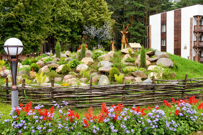 Дневная карта гостя